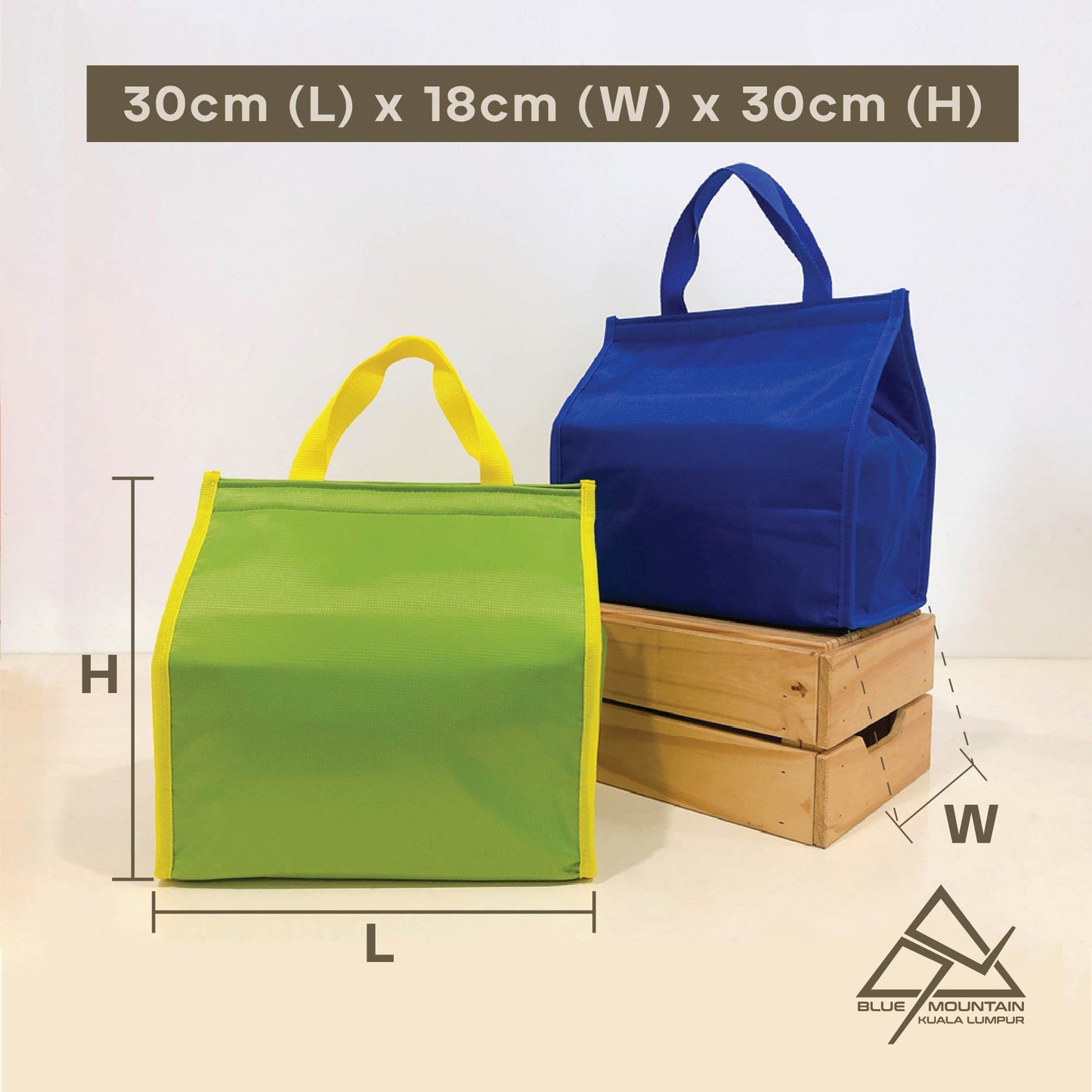 Blue Mountain Lunch Cooler Bag